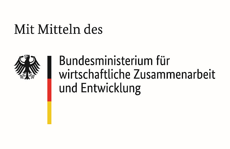 Logo der Wüstenrot Stiftung